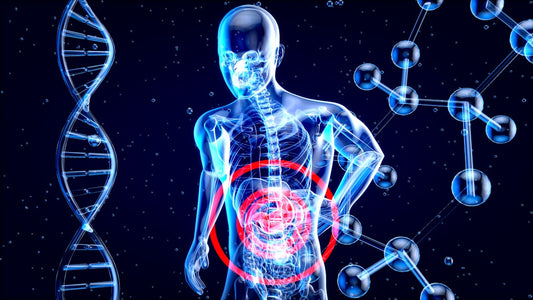 Por que Suplementar com Multivitamínico é Essencial para a Saúde?