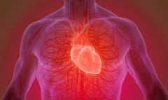 Como o Ômega-3 ajuda na saúde cardiovascular