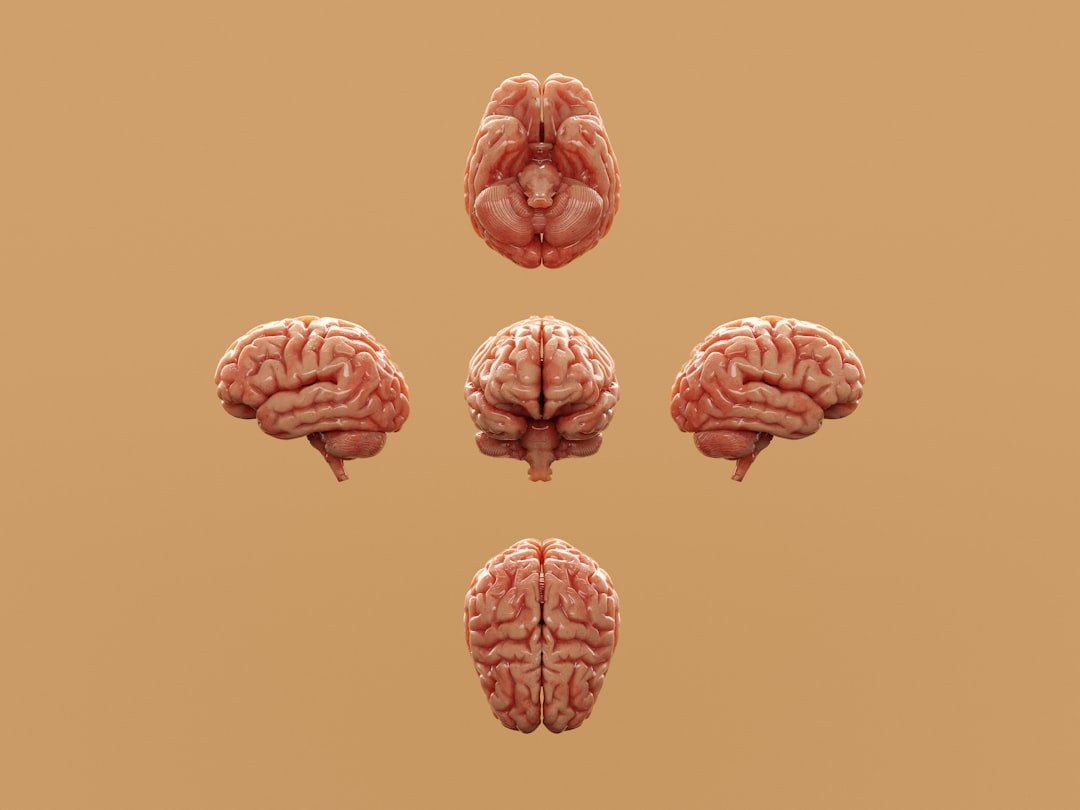 Como o ômega 3 melhora memória, foco e concentração e potencializa a saúde cerebral