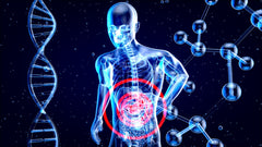 Por que Suplementar com Multivitamínico é Essencial para a Saúde?