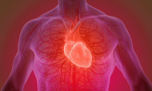 Como o Ômega-3 ajuda na saúde cardiovascular