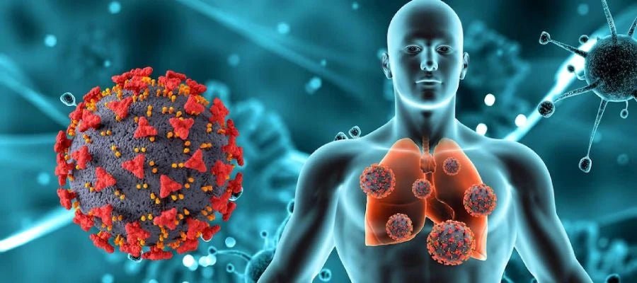Vitamina D e Imunidade: Descubra como Doses Adequadas Fortalecem Seu Corpo